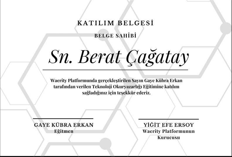 Waerity Teknoloji Okuryazarlığı